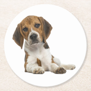 Porta-copo De Papel Redondo Mãe de Beagle Fofa Amante de Cachorro Pai de Cacho