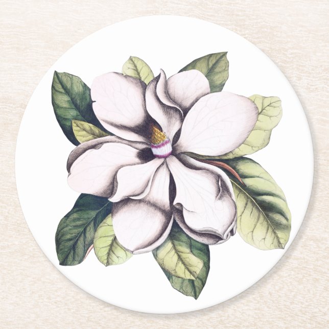 Porta-copo De Papel Redondo Magnolia Flor (Frente)