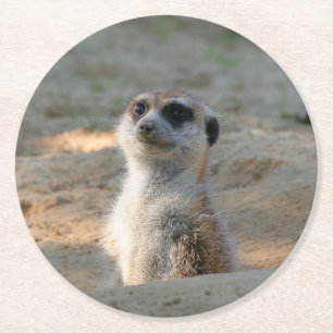 Porta-copo De Papel Redondo Meerkat 004