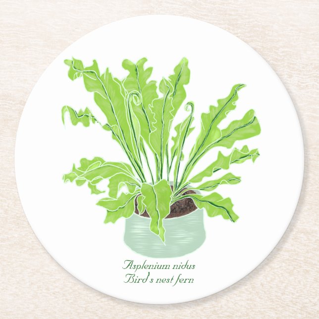 Porta-copo De Papel Redondo Ninho de Asplenium Bird - desenhando em branco. (Frente)