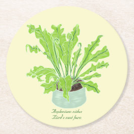 Porta-copo De Papel Redondo Ninho de Asplenium Bird - desenhando em laranja.