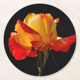 Porta-copo De Papel Redondo Peachy Orange Rosa