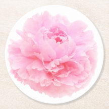 pétalas rosa suave