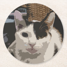 Porta copos de gatos