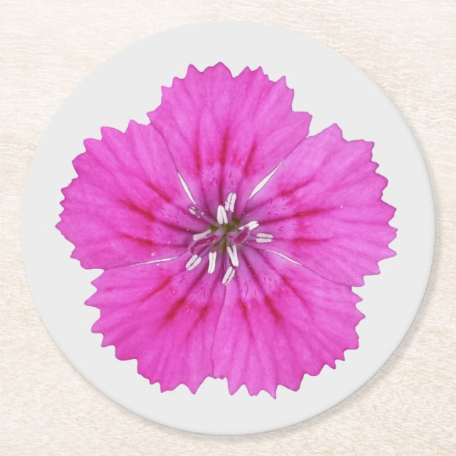 Porta-copo De Papel Redondo Porta copos de papel do Dianthus Rosa (Frente)