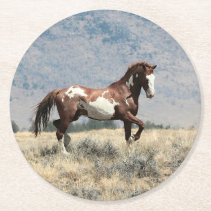 Porta-copo De Papel Redondo Porta copos selvagem do garanhão