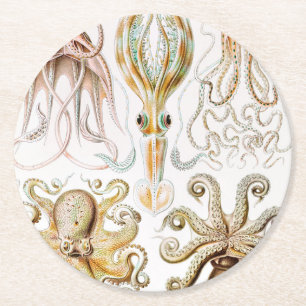 Porta-copo De Papel Redondo Pula de Octopus, Gamochonia por Ernst Haeckel