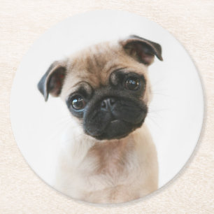 Porta-copo De Papel Redondo Retrato de Baby Pug