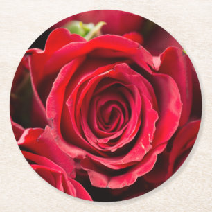 Porta-copo De Papel Redondo rosas vermelhas