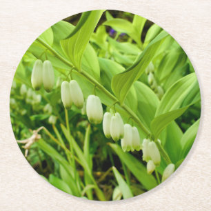 Porta-copo De Papel Redondo Selo Solomons