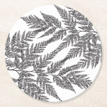 Silhuetas da fronda da samambaia da floresta