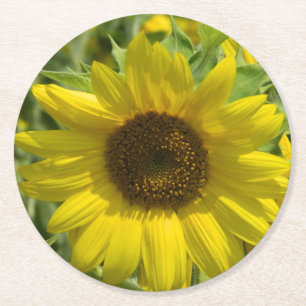 Porta-copo De Papel Redondo Sunflower