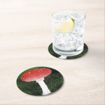 Um fungo de cogumelo