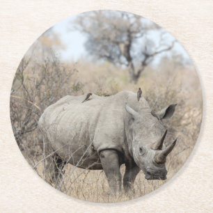 Porta-copo De Papel Redondo White Rhino