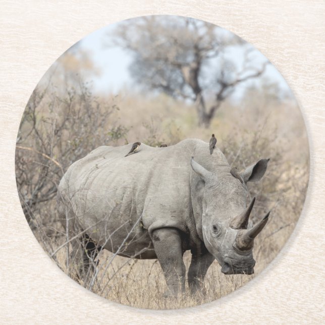 Porta-copo De Papel Redondo White Rhino (Frente)