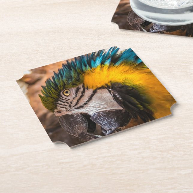 Porta-copo De Papel Retrato de arara azul e amarela (Angular)