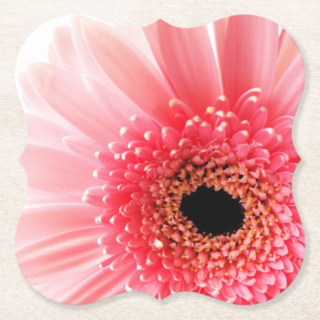 Porta-copo De Papel Rosa Gerbera Daisy (Frente)