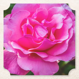 Porta-copo De Papel Rosa rosa delicada.