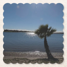 San Diego Palm Tree Paper Porta copos