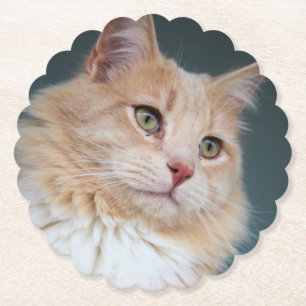 Porta-copo De Papel Sr. Handsome