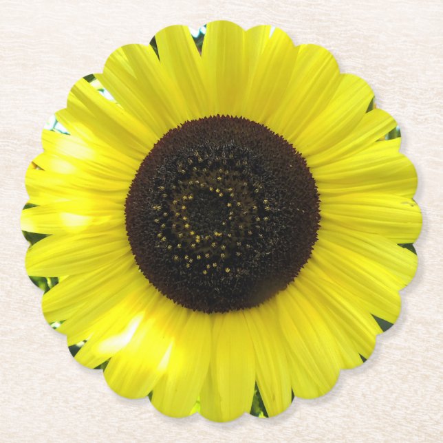 Porta-copo De Papel Summer Garden Sunflower (Frente)