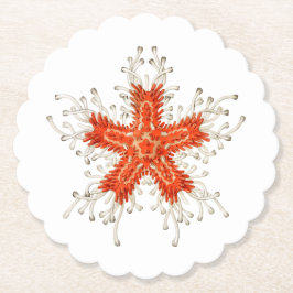 Porta-copo De Papel Tartaruga