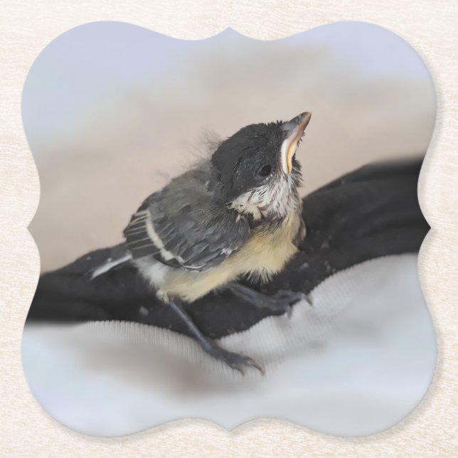 Porta-copo De Papel Tidi, meu Pássaro, o Parus Major (Frente)