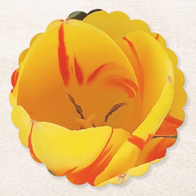 Porta-copo De Papel Tulipas Amarelas primavera (Frente)
