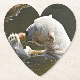 Porta-copo De Papel Urso Polar Comendo Fruta Captura
