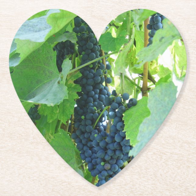 Porta-copo De Papel Uvas Azuis (Frente)