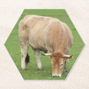 Porta-copo De Papel Vaca Nantaise num campo