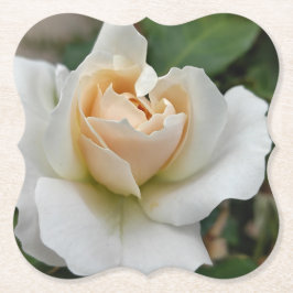 Porta-copo De Papel White Rose