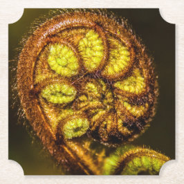 Porta-copo De Papel Young Fern Folaves