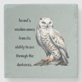 Porta-copo De Pedra A beautiful white wise Owl