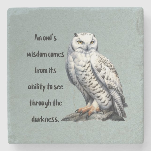 Porta-copo De Pedra A beautiful white wise Owl (Frente)