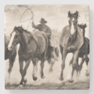 Porta-copo De Pedra A Chase I