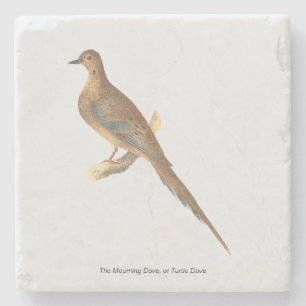 Porta-copo De Pedra A Dove de Luto (Carolina Turtle Dove) NY Aves