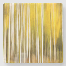 Porta-copo De Pedra Abstrato Aspens