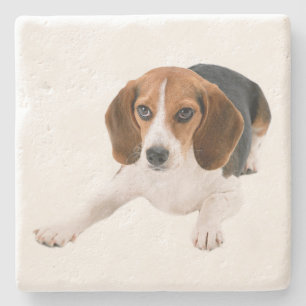 Porta-copo De Pedra Adoção de Cachorro Mãe Beagle Fofa Pai de Cachorro