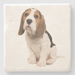 Porta-copo De Pedra Adoção de Cachorro Mãe Beagle Fofa Pai de Cachorro