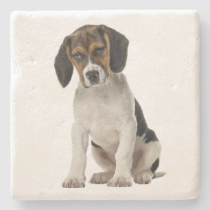 Porta-copo De Pedra Adoção de Cachorro Mãe Beagle Fofa Pai de Cachorro