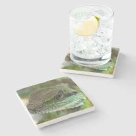 Porta-copo De Pedra Agama, lagarto