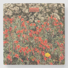 Porta-copo De Pedra agosto