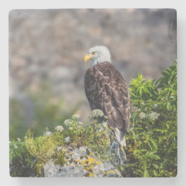 Porta-copo De Pedra Águia caída sentada na rocha