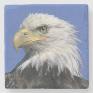 Porta-copo De Pedra Águia-pescadora-americana, (Haliaeetus leucocephal