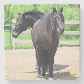 Porta-copo De Pedra AHT Sherrif e Goliath