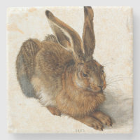 ALBRECHT DÜRER - lebre nova 1502