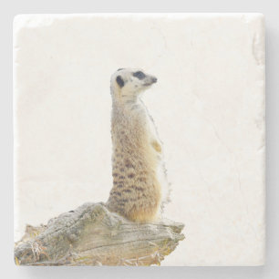 Porta-copo De Pedra Alertar Meerkat Em Serviço De Guarda,