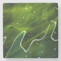 Algas verdes e litoral aquático