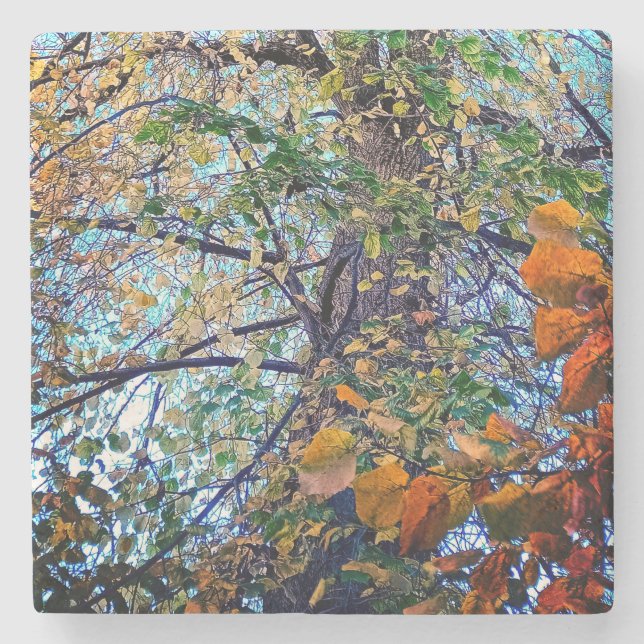 Porta-copo De Pedra Alteração das folhas (Frente)